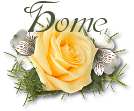 YRoseAloshome.gif (10481 bytes)